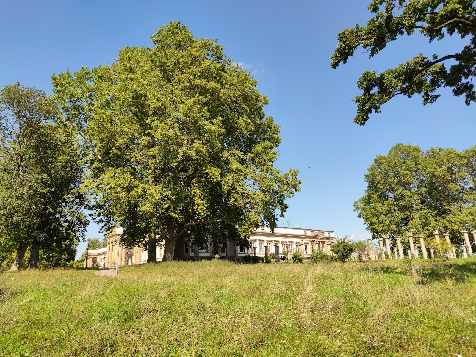 Entspannung im Schlossgarten