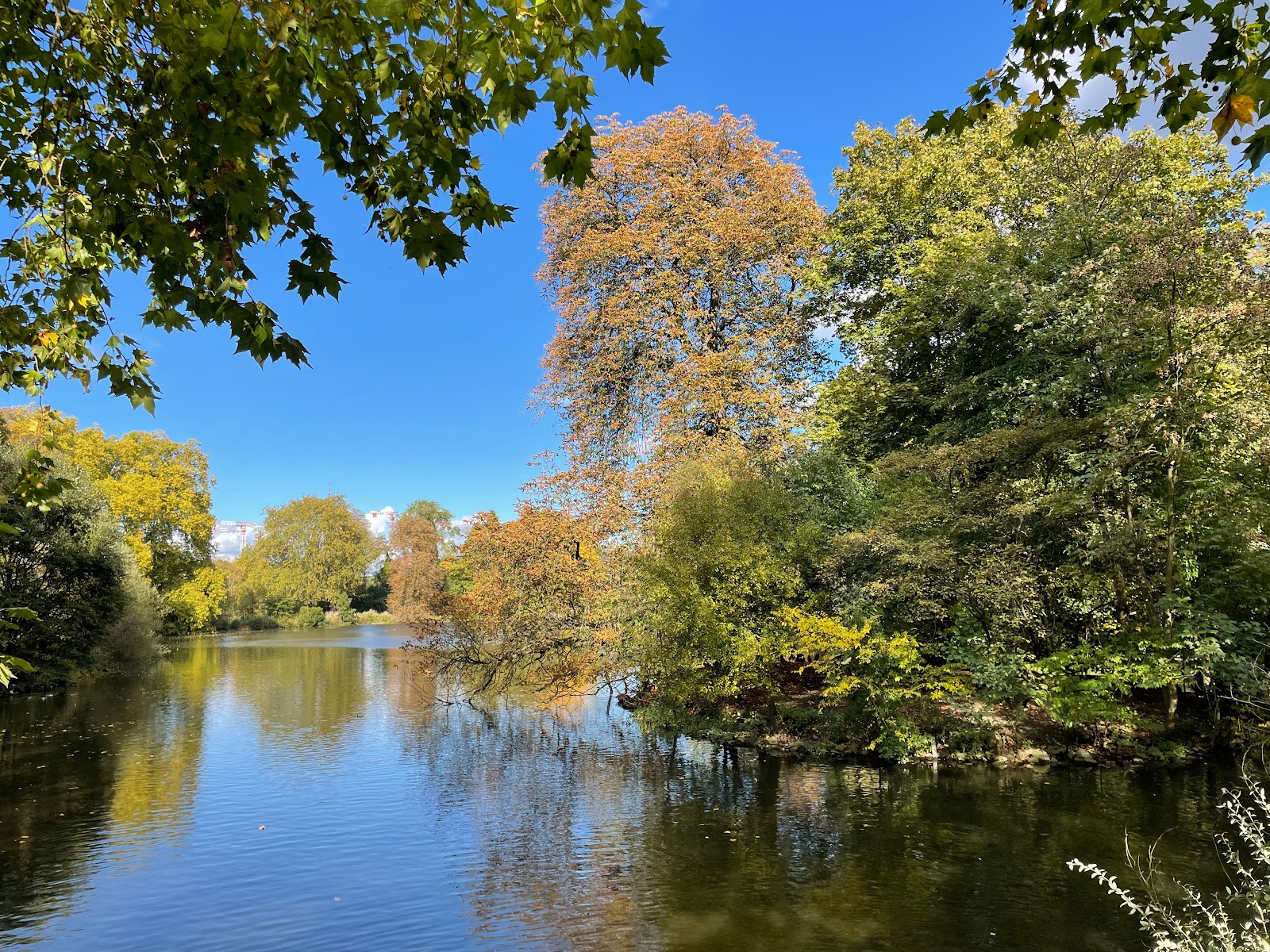 Botanischer Garten Rombergpark