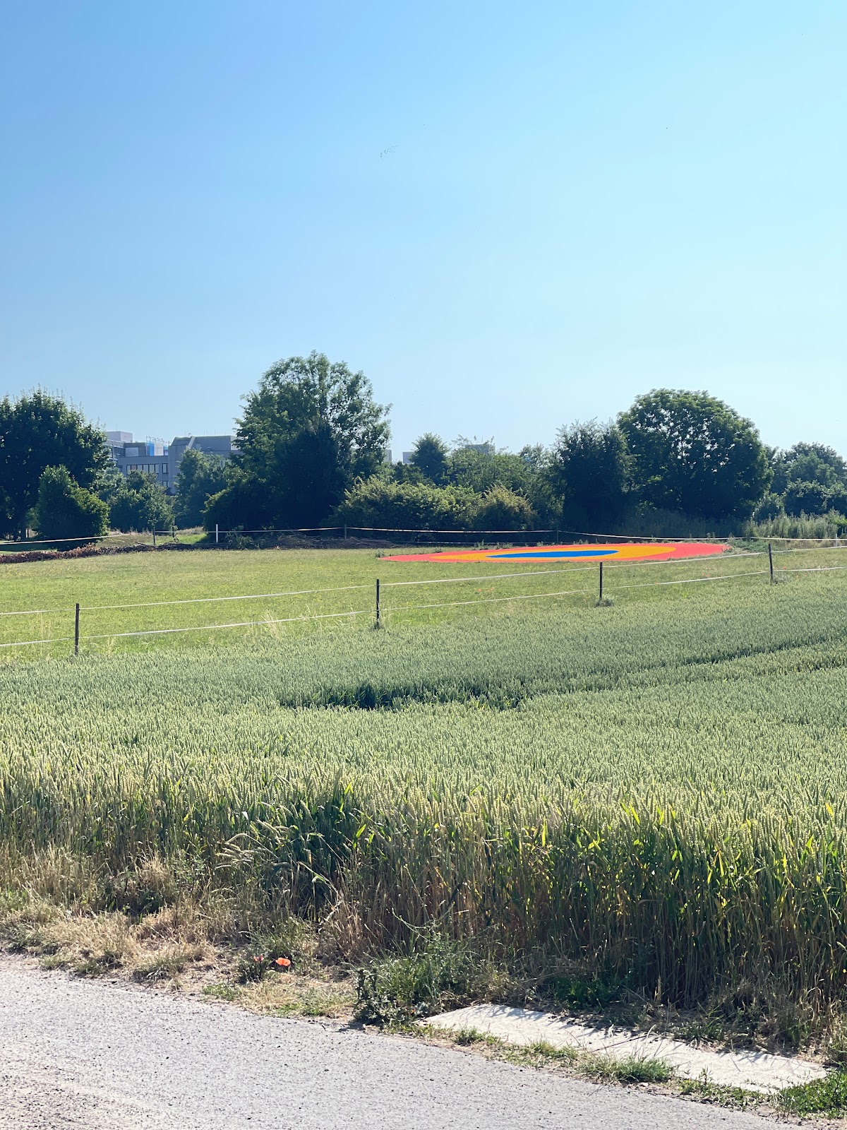 Golfen im Golfclub Frankfurt