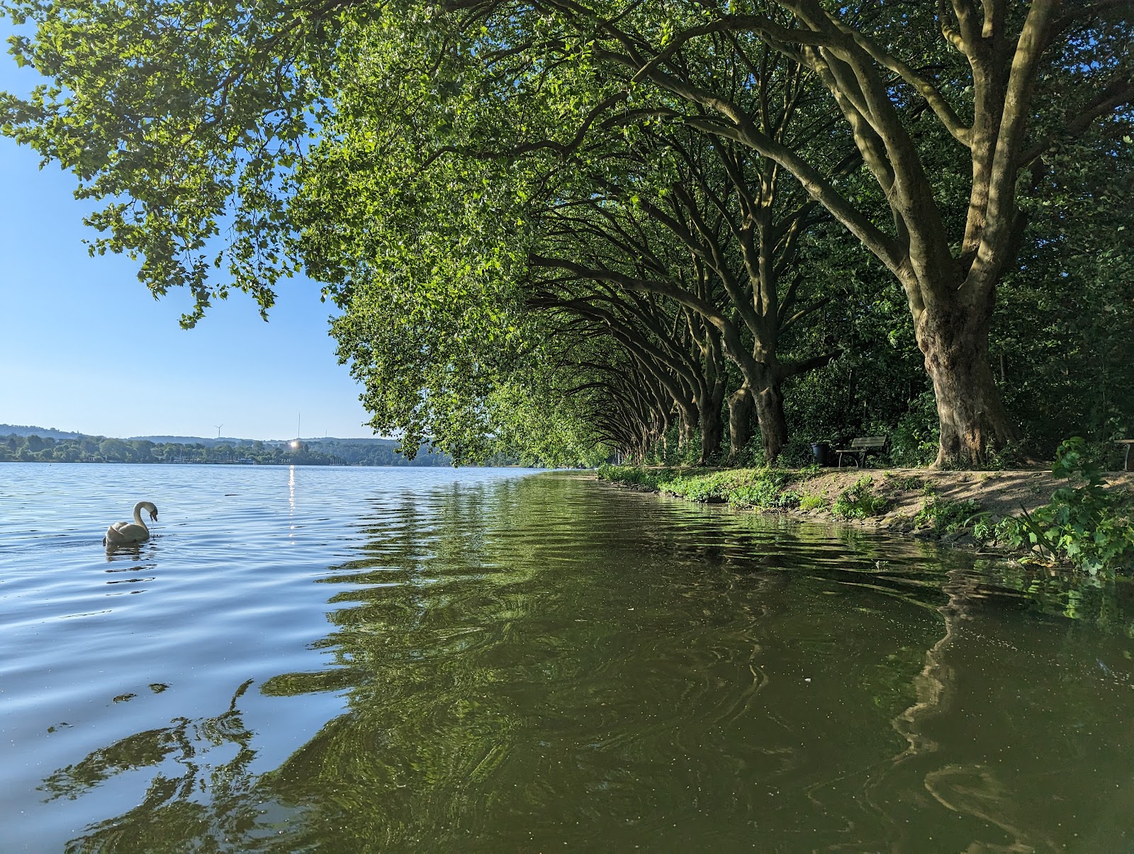 Essen Hiking Club