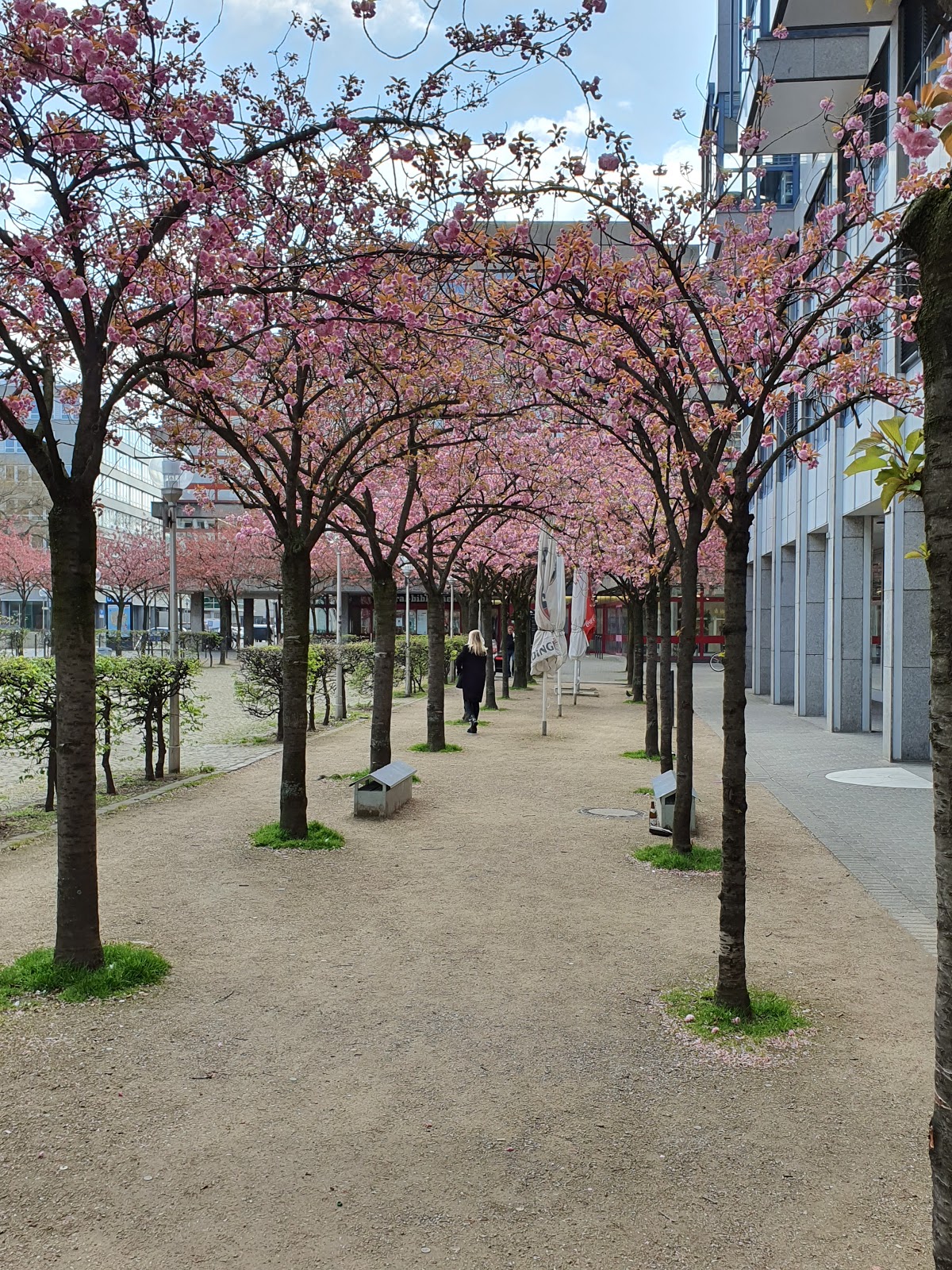 Stadtbibliothek Köln