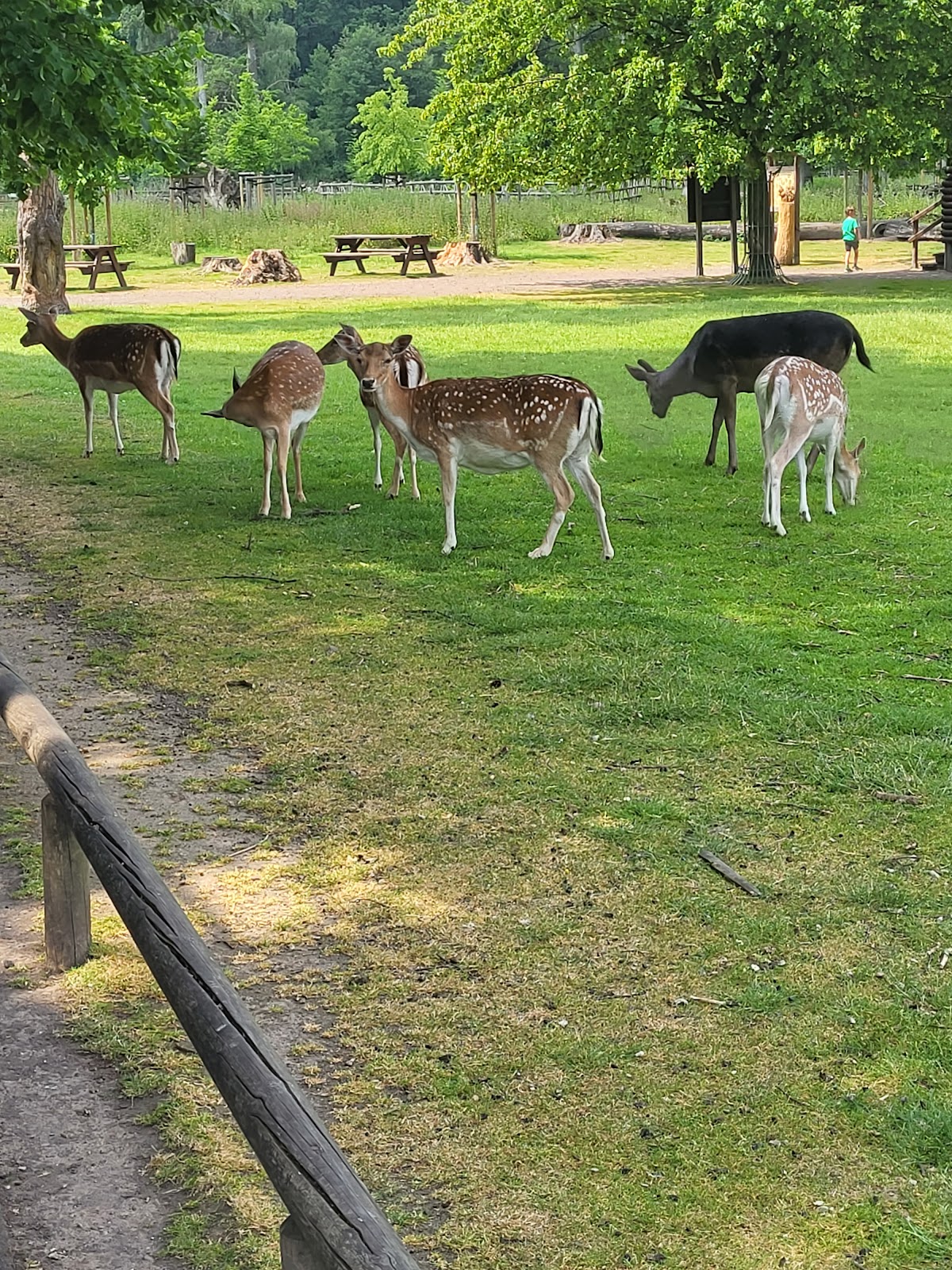 Lindenthaler Tierpark