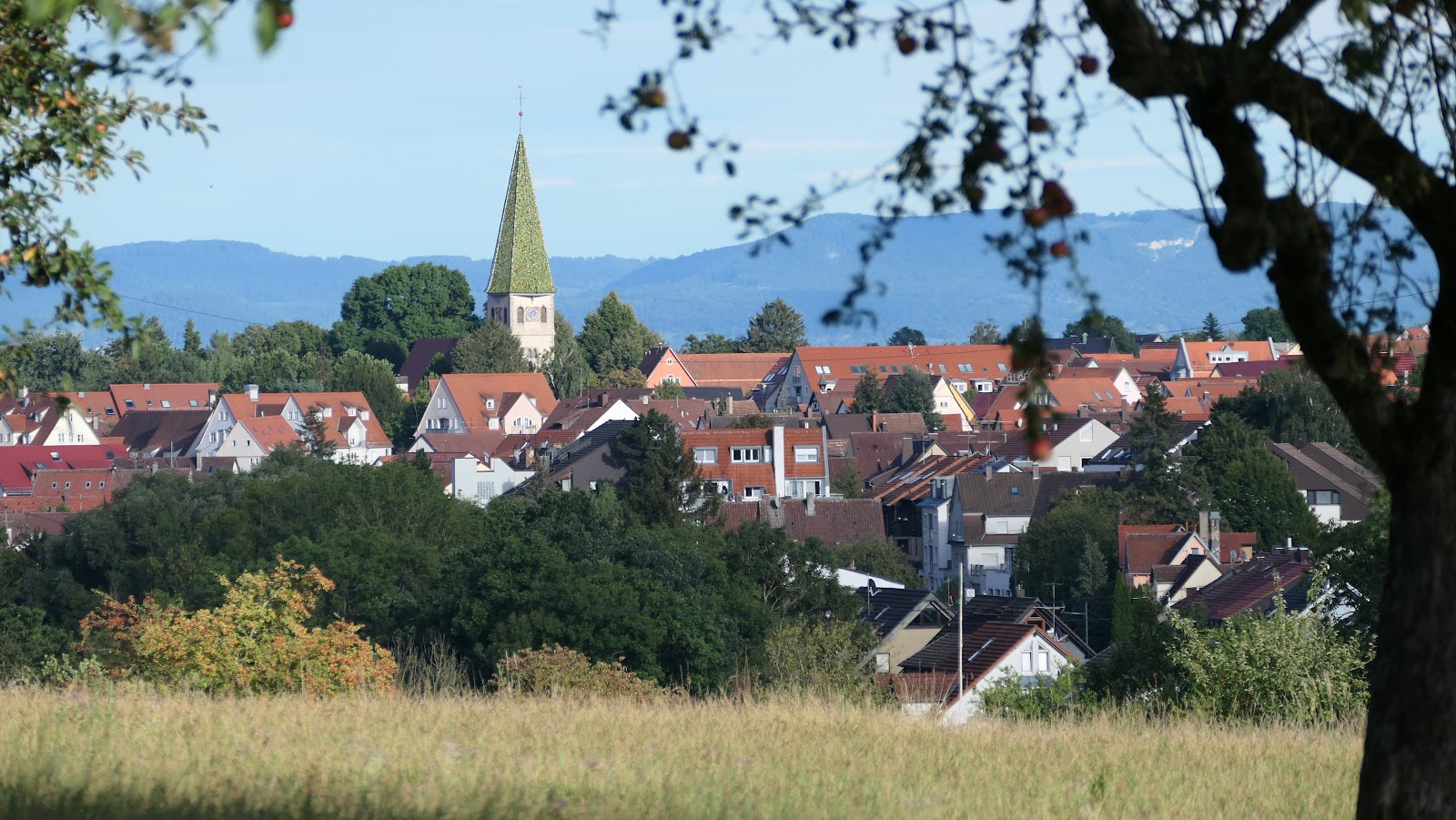 Plieningen