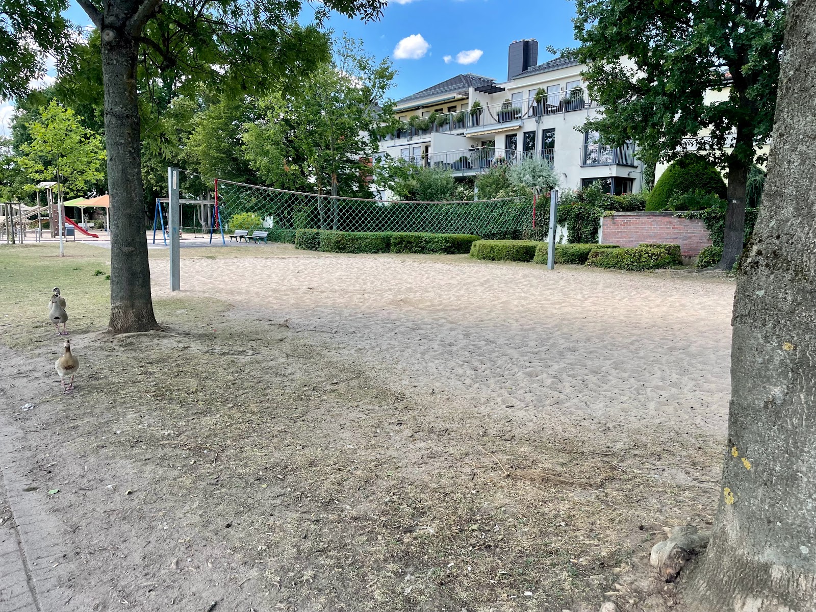 Beachvolleyball am Schwanheimer Düne