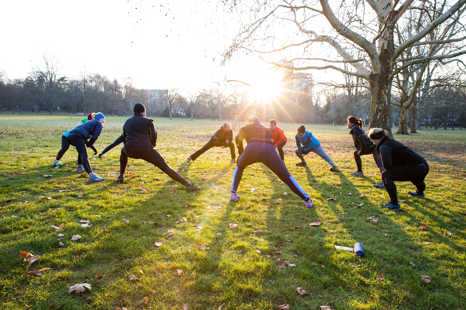 Bootcamp im Grüneburgpark