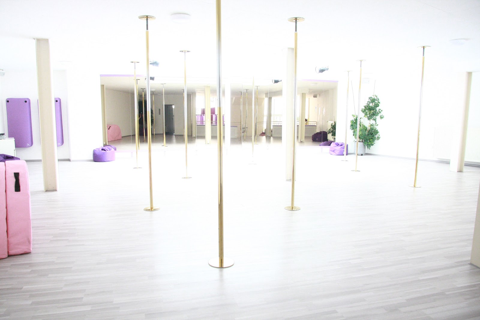 Cologne Fitness Dance Academy