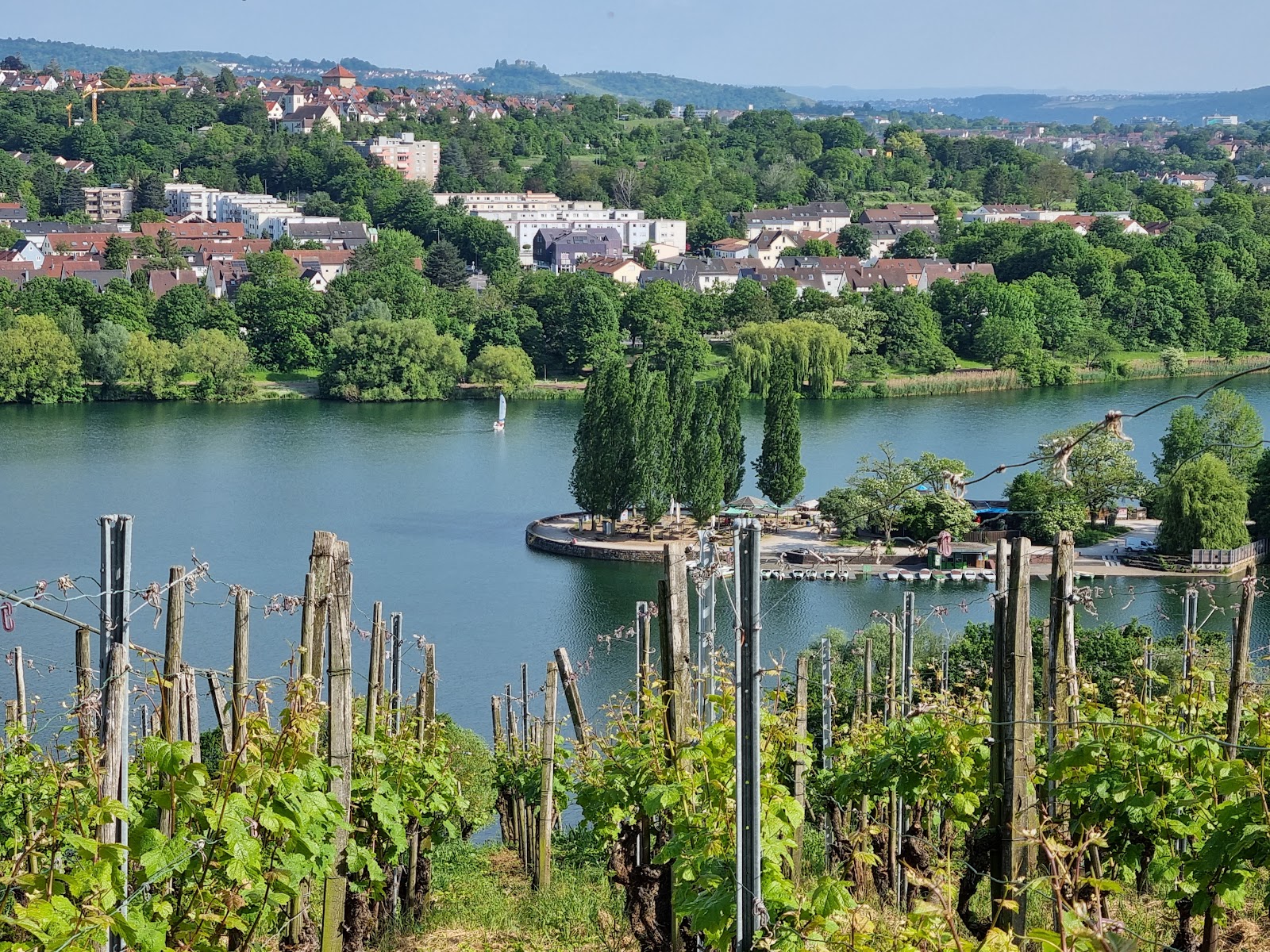 Weinberge von Stuttgart